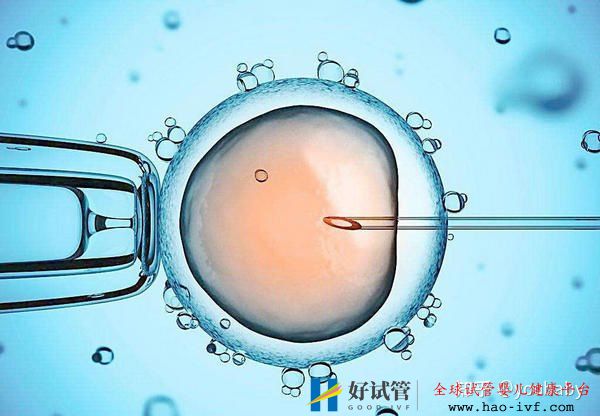 多囊患者做试管婴儿成功的机率大吗看完此篇你就有...(图3)