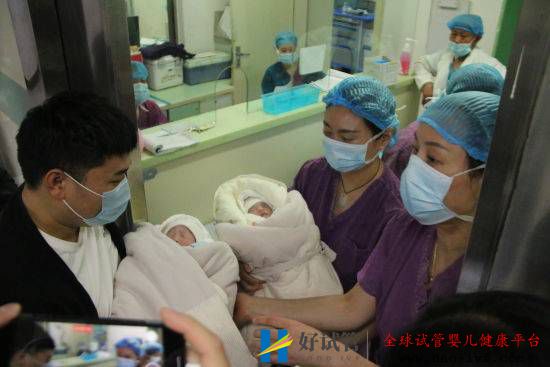 安徽阜阳首例“试管婴儿”诞生，“龙凤”胎！(图1)