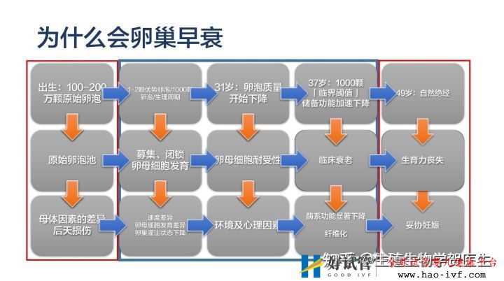 卵巢早衰选择三代试管成功率怎么算(图18)