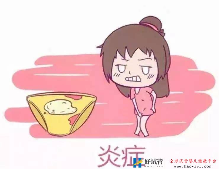 十女九“炎”，但如果影响试管成功率怎么办？(图1)