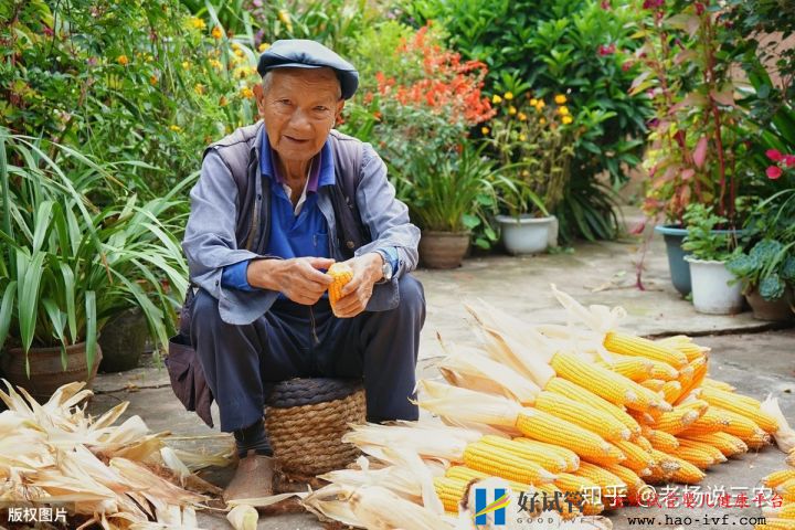 喜讯!2023年,农村5大惠民政策陆续实施,4大补贴...(图6)