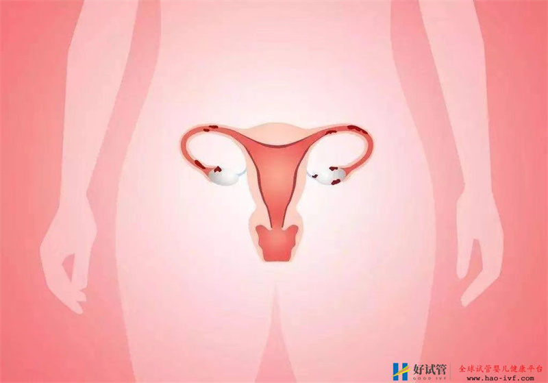 试管婴儿取卵后子宫内膜达到多少才可以移植？(图3)