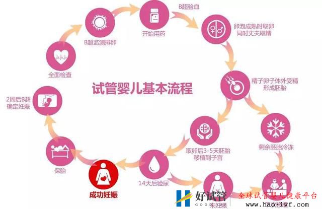 俄罗斯试管婴儿的详细过程是怎样的，6个步骤解释清楚(图1)