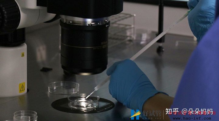 做试管大约要多少钱一次就能圆梦(图1) 做试管大约要多少钱一次就能圆梦(图1)