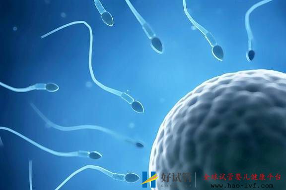 中国第一例试管婴儿成功当妈对试管婴儿有什么意义(图1)