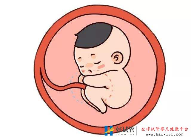 37岁还能做试管婴儿，能成功怀上宝宝吗？(图2)