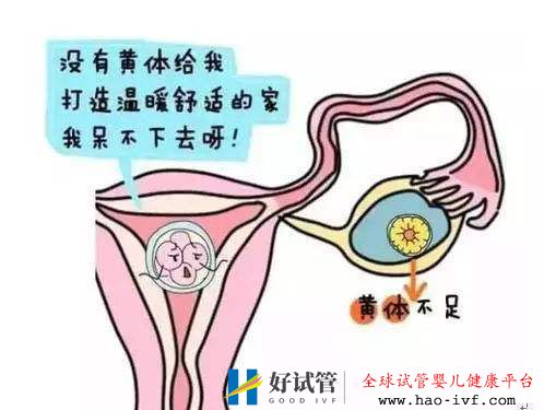 女性黄体功能不全可以选择试管婴儿吗(图1)