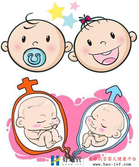 做试管婴儿想要双胞胎可以吗？(图1)