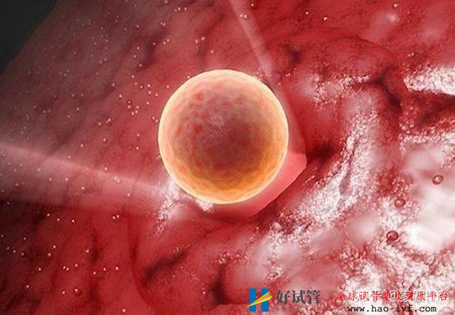 胚胎移植后多久能查出怀孕着床时会不会有感觉(图1)