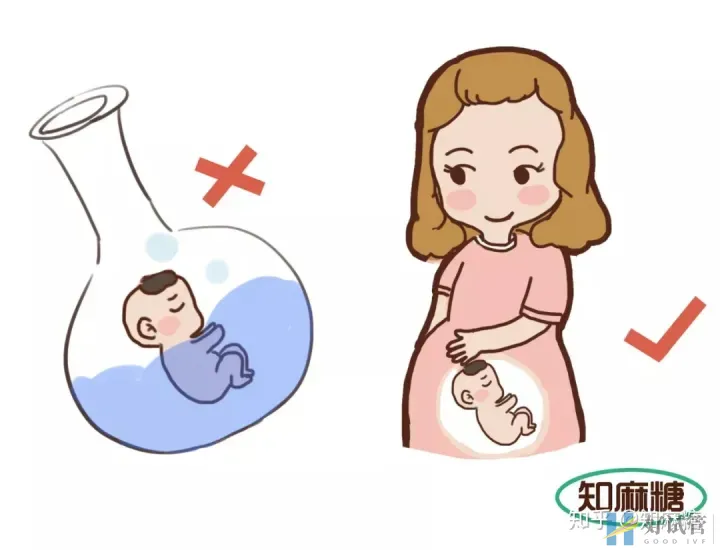试管婴儿是爸妈亲生的吗?（什么是“试管婴儿”？）越早知道越好(图6)