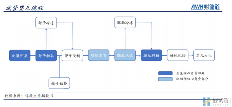 三孩政策来了!有人继续躺平,有人跑去试管(图7)