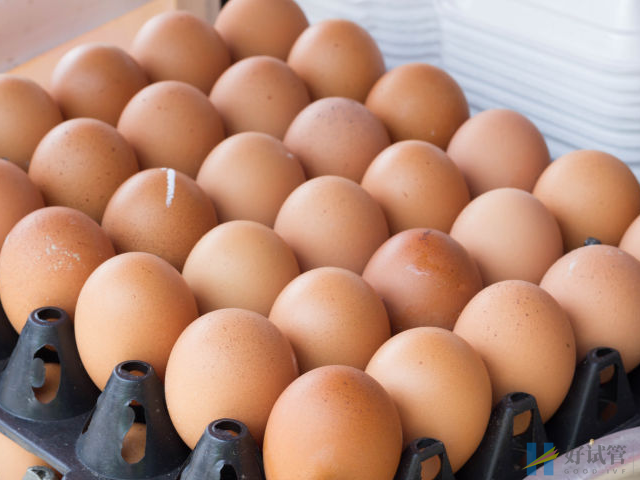 鸡蛋吃了能促进卵泡发育