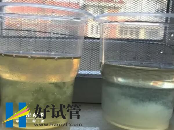 75%酒精测男生是什么样子