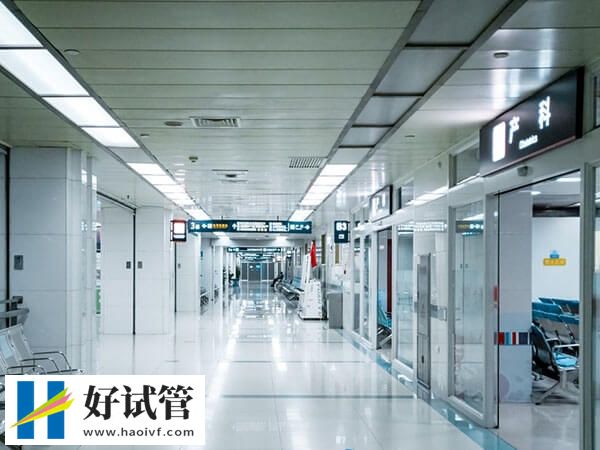 杭州权威试管医院有哪些