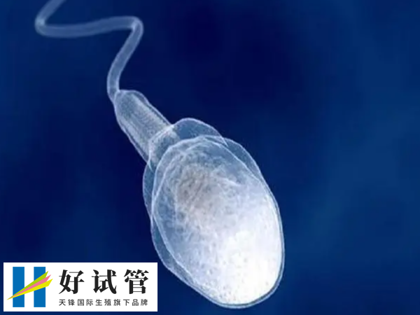 取精需要缴费