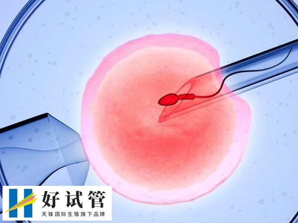 卵巢功能除与年龄有关