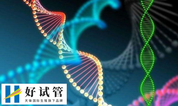 禁止非医学需要的胎儿男女选择