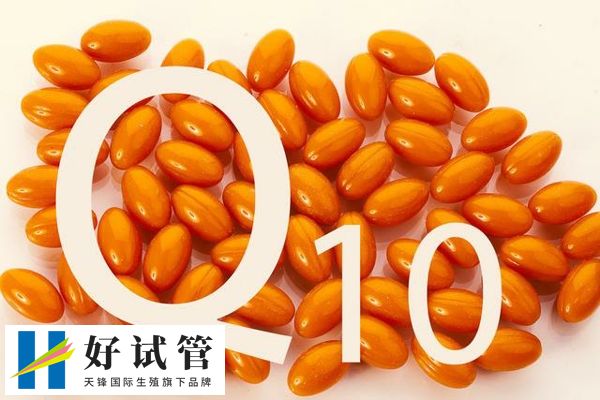 服用辅酶Q10能提高免疫力