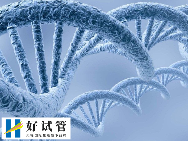 供精怀孕并不一定都要做无创产前检测