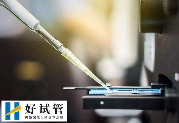打HCG能有效维持黄体功能
