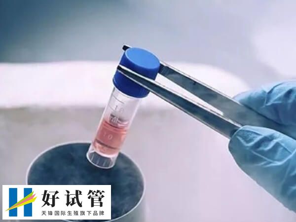 冻胚移植失败要先查明原因