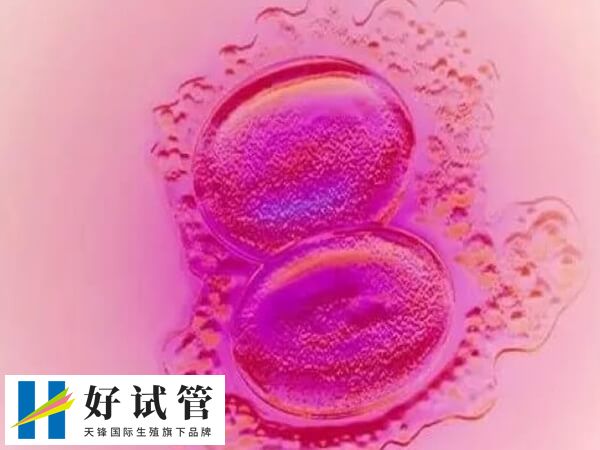 胚胎养囊失败要注意调整心态