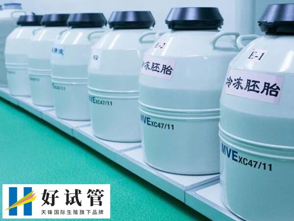 FET就是解冻胚胎移植术