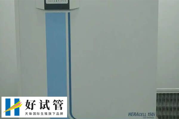  南京是华东地区重要的医疗中心