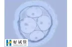 胚胎移植后男性能做些什么