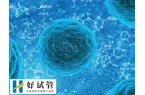 三代试管10个囊胚能筛出几个