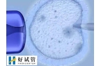 试管短方案取卵会不会少儿短方案取几个卵？