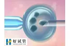 浙大二院做试管婴儿费用要多少