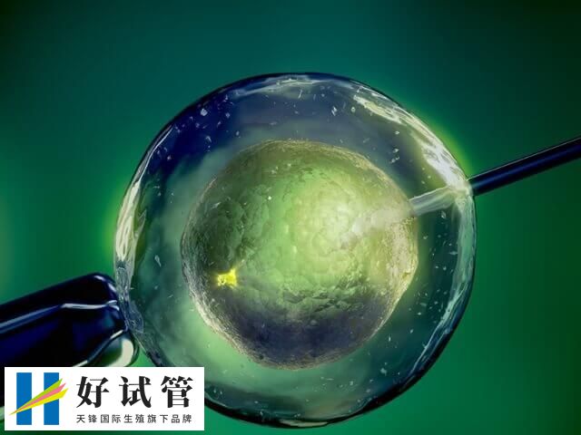 试管移植1个还是2个好(图2) 单胎移植安全性高