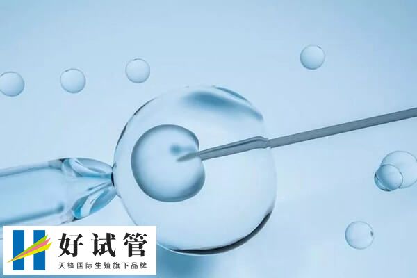 试管移植1个还是2个好(图1) 高龄患者适合移植两个胚胎
