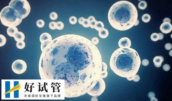 试管婴儿前如何保养卵巢(图2) 不良生活习惯会伤害卵巢