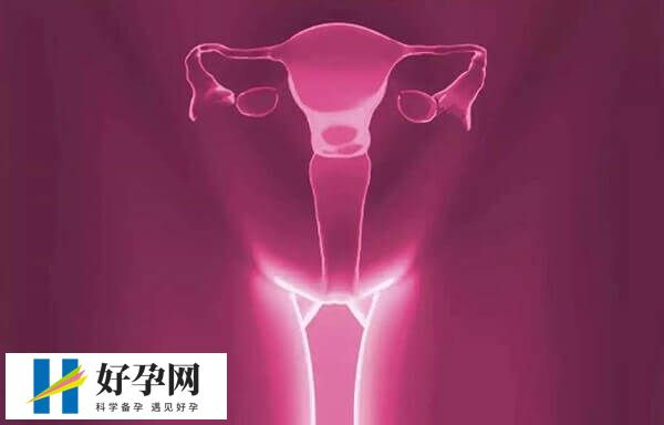 冻卵的适应症有哪些(图2) 卵巢组织冻存适合癌症患者