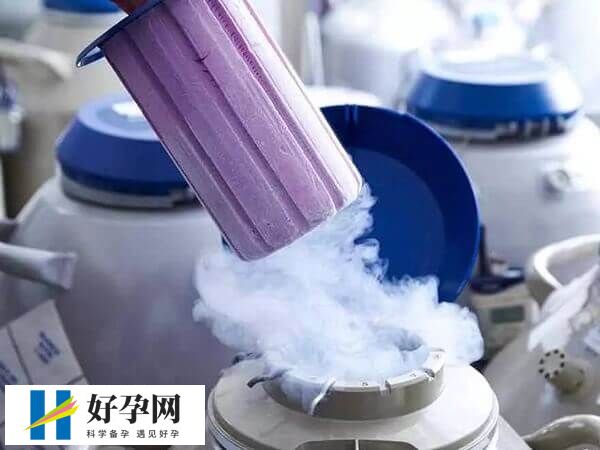 冻卵的适应症有哪些(图1) 国内一般不允许单身女性冻卵