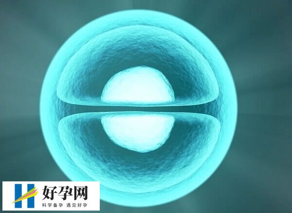 冻卵的适应症有哪些(图3) 海外部分国家可支持单身女性冻卵