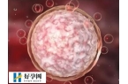 试管婴儿胚胎碎片多改善方法是什么